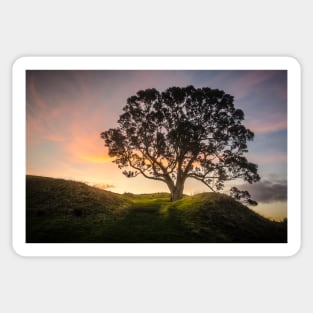 Lone tree Sticker